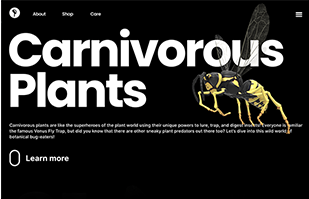 Carnivorous Plants